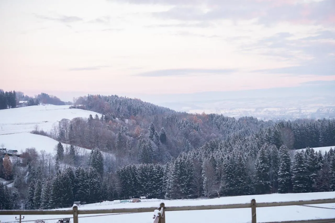Buchenberg Gut Buchenhof公寓 Buchenberg (Bavaria)